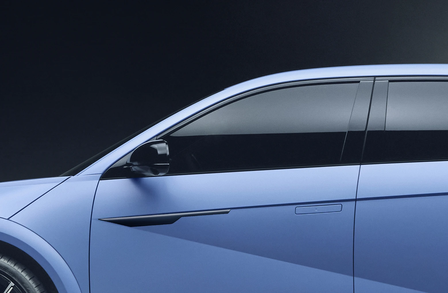 IONIQ 5 N Seitenschutzleisten, schwarz